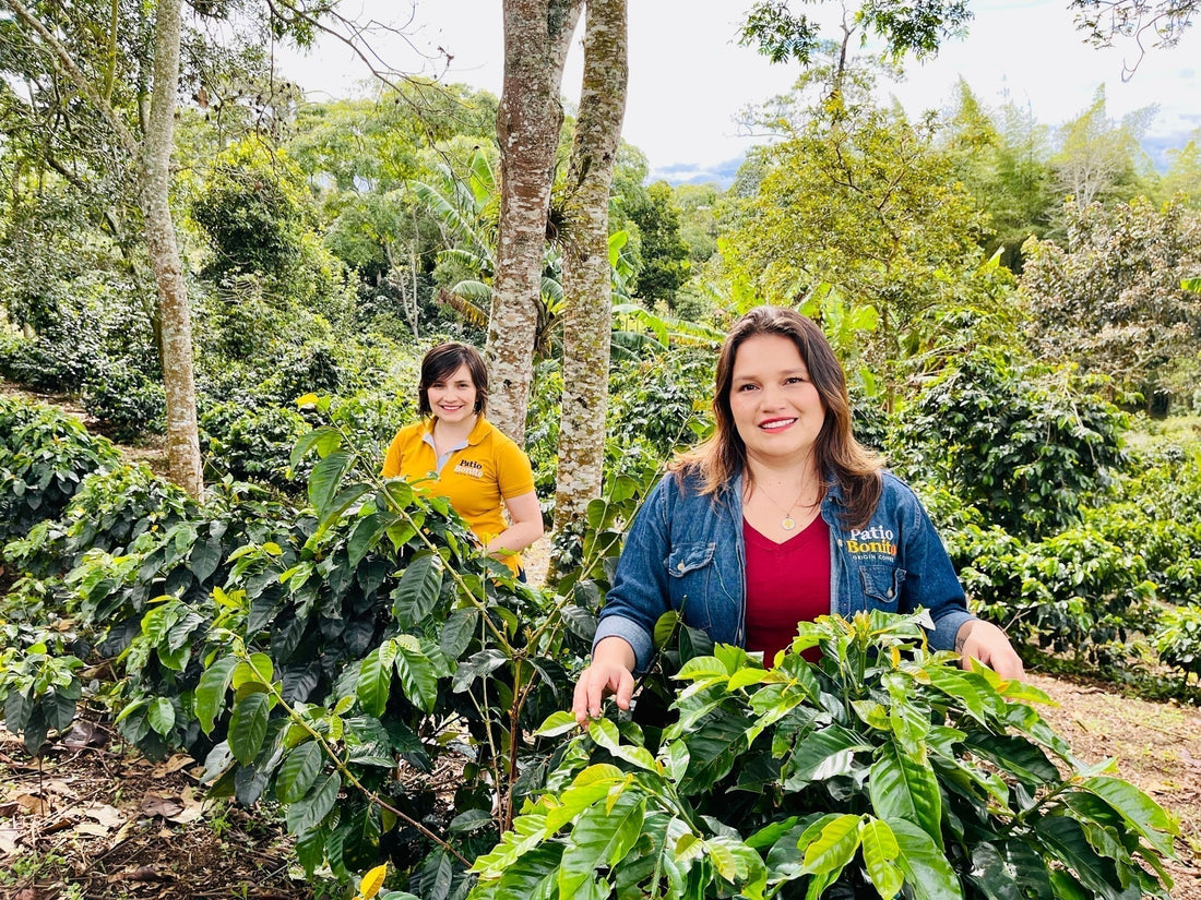CELEBRATING INTERNATIONAL WOMEN’S DAY: PAOLA TRUJILLO