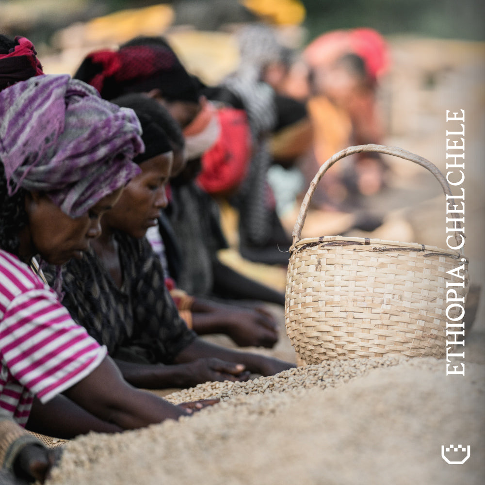 Workers handling beans in a field or processing area, with a woven basket in the foreground and vertical text reading 'ETHIOPIA, CHELCHELE' along the right side.